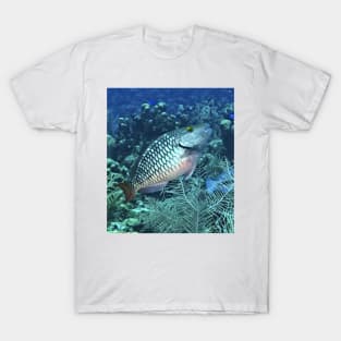 Silver Parrot Fish T-Shirt